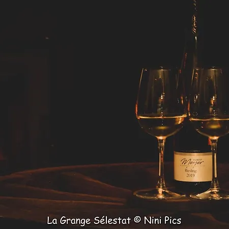 Casa de hóspedes La Grange Saint Nicolas - Table d'hôtes Sélestat